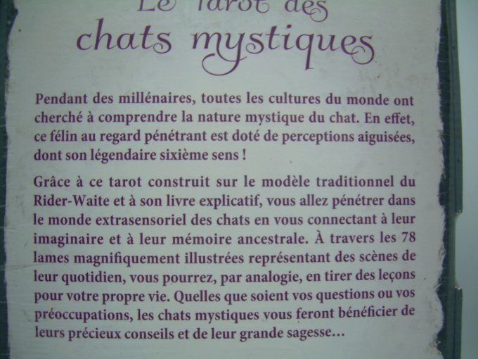 Le tarot des chats mystiques