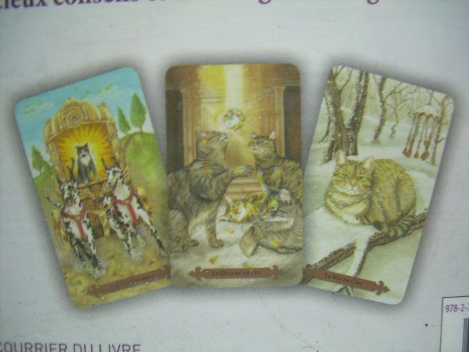 Le tarot des chats mystiques